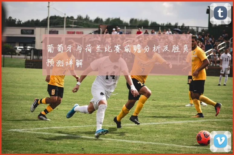 葡萄牙与荷兰比赛前瞻分析及胜负预测详解