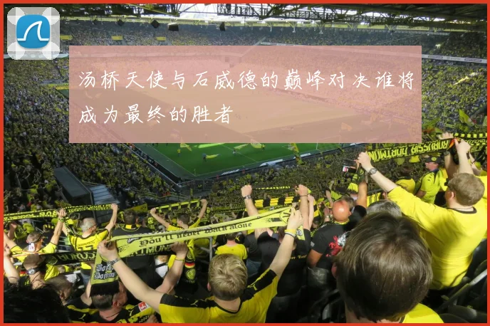 汤桥天使与石威德的巅峰对决谁将成为最终的胜者